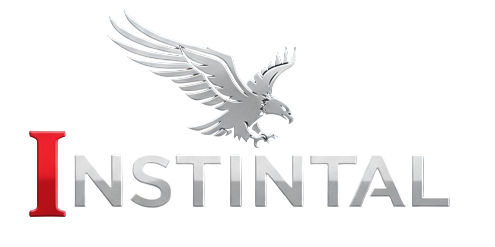 Instintal Logo